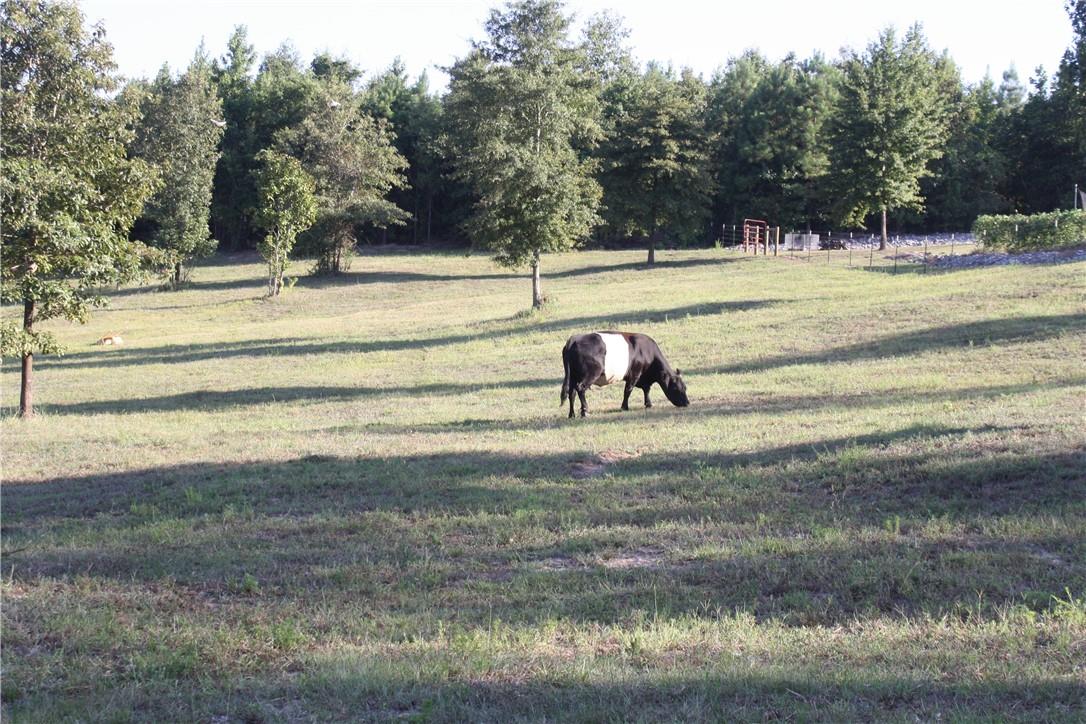 1147 Frost Tower Road West Monroe, LA 71292 - Photo 8 of 31 Gallery Image 8