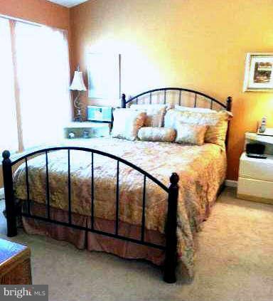 26052 Ridge Manor Drive Damascus, MD 20872 - Photo 11 of 18 Lovely Master Bedroom