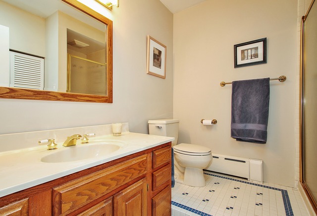 7 Wisner Street Park Ridge, IL 60068 - Photo 11 of 20 a bathroom with a sink a toilet and a mirror
