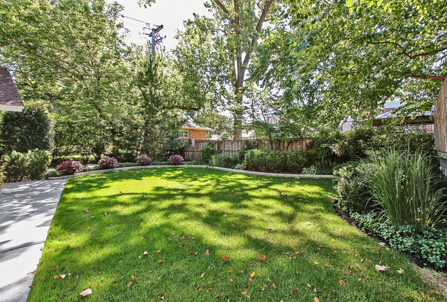 7 Wisner Street Park Ridge, IL 60068 - Photo 20 of 20 a view of a backyard with a garden