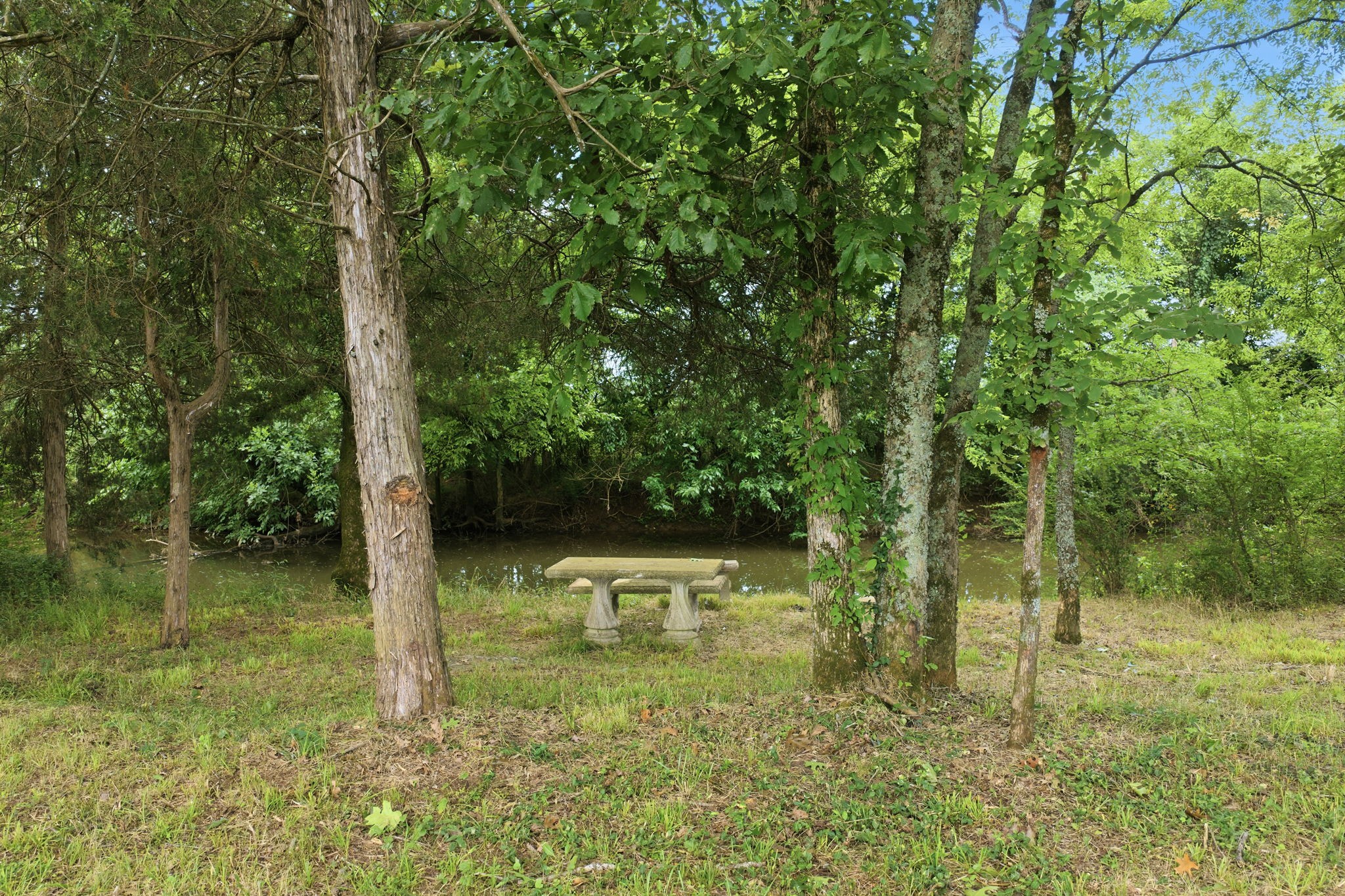 4555 Webb Road Murfreesboro, TN 37128 - Photo 7 of 12