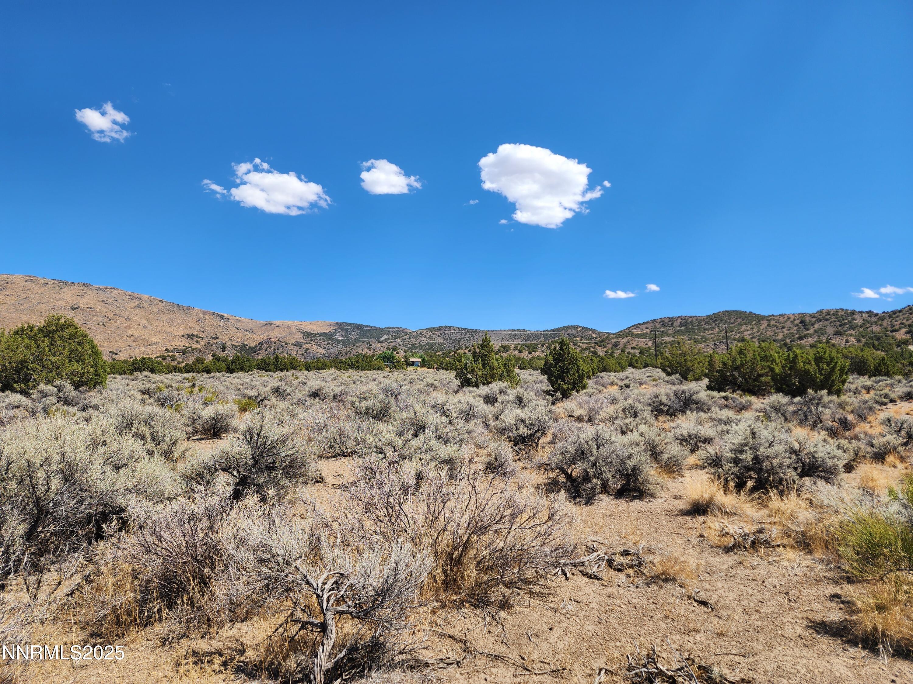 0 Right Hand Canyon Road, Unit 0RIGHT HAND CANYON RD Reno, NV 89510 - Photo 12 of 14 a view of a yard with a tree in the background