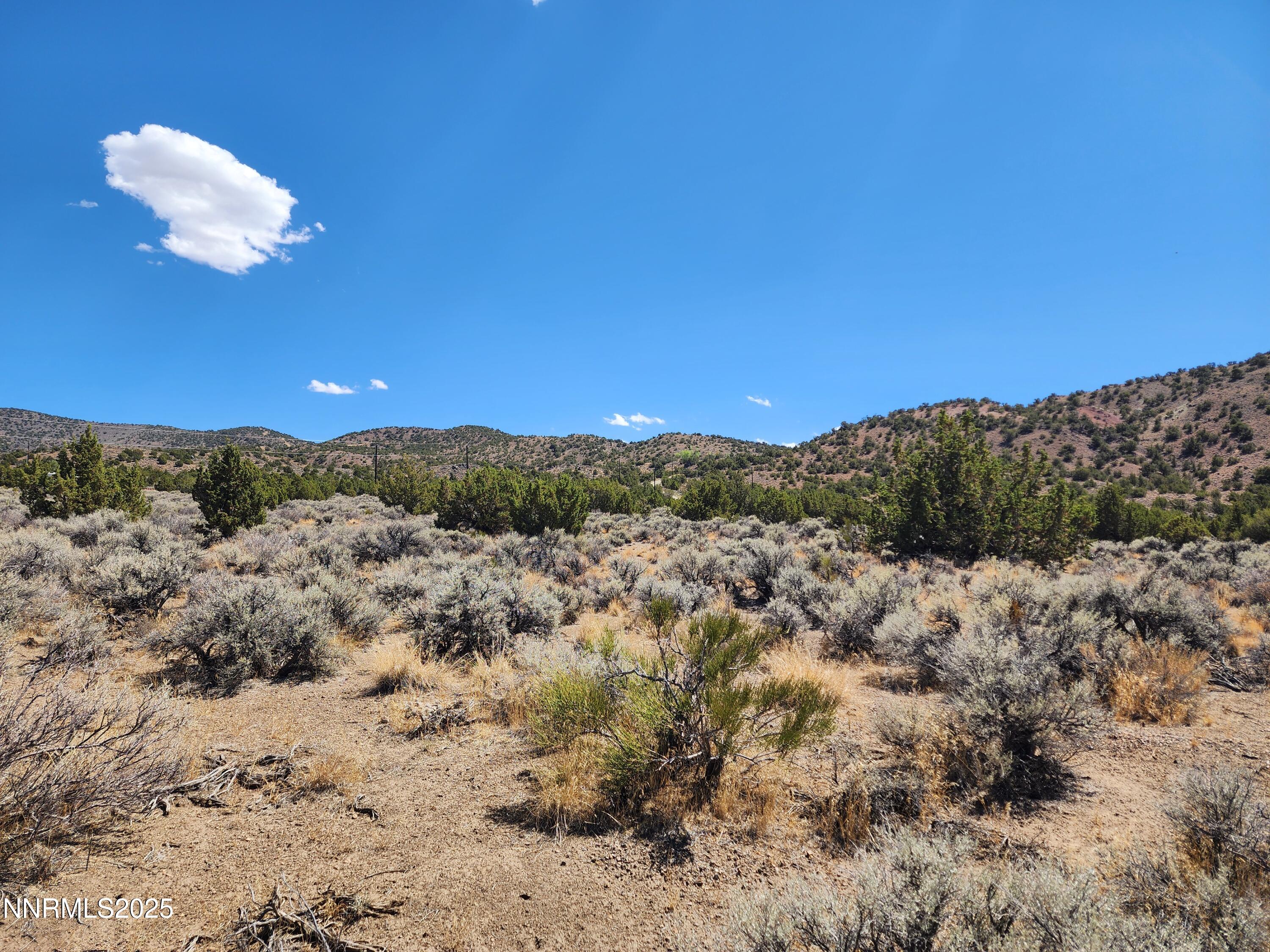 0 Right Hand Canyon Road, Unit 0RIGHT HAND CANYON RD Reno, NV 89510 - Photo 13 of 14 a view of a dry yard with trees