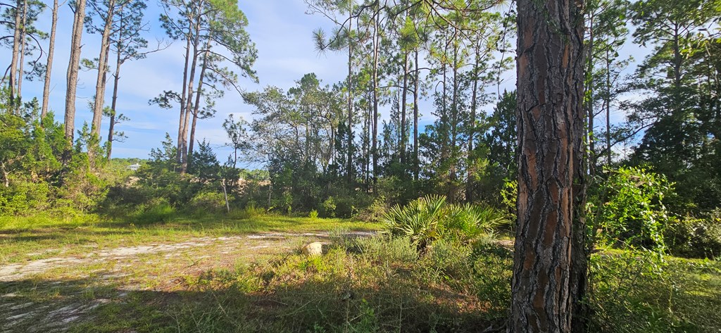 612 River Road Carrabelle, FL 32322 - Photo 22 of 27 Gallery Image 22