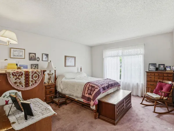 a living room with a bed furniture and a window