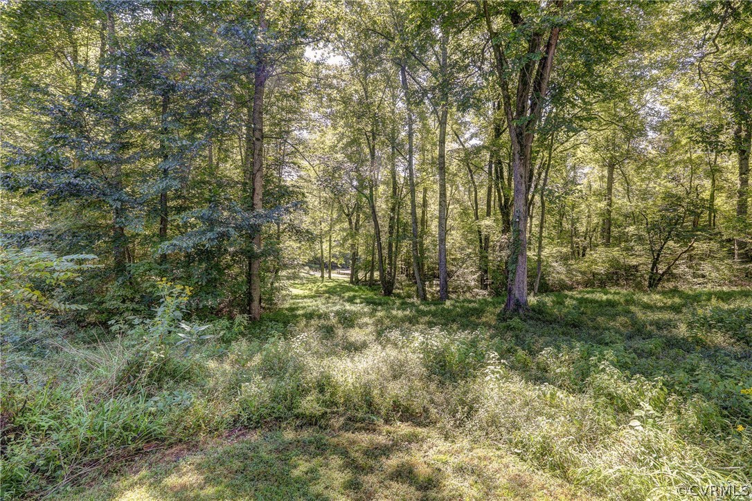 4911 Cartersville Road Powhatan, VA 23139 - Photo 28 of 29 Gallery Image 28
