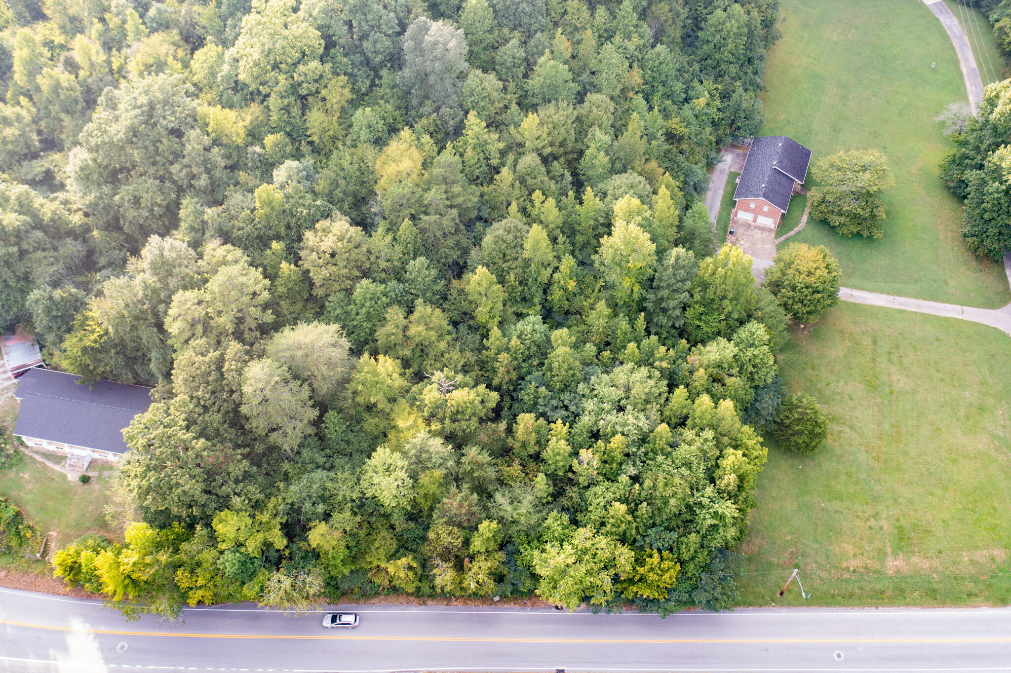 1161 Mountain Creek Road Chattanooga, TN 37405 - Photo 3 of 8 DJI_0167