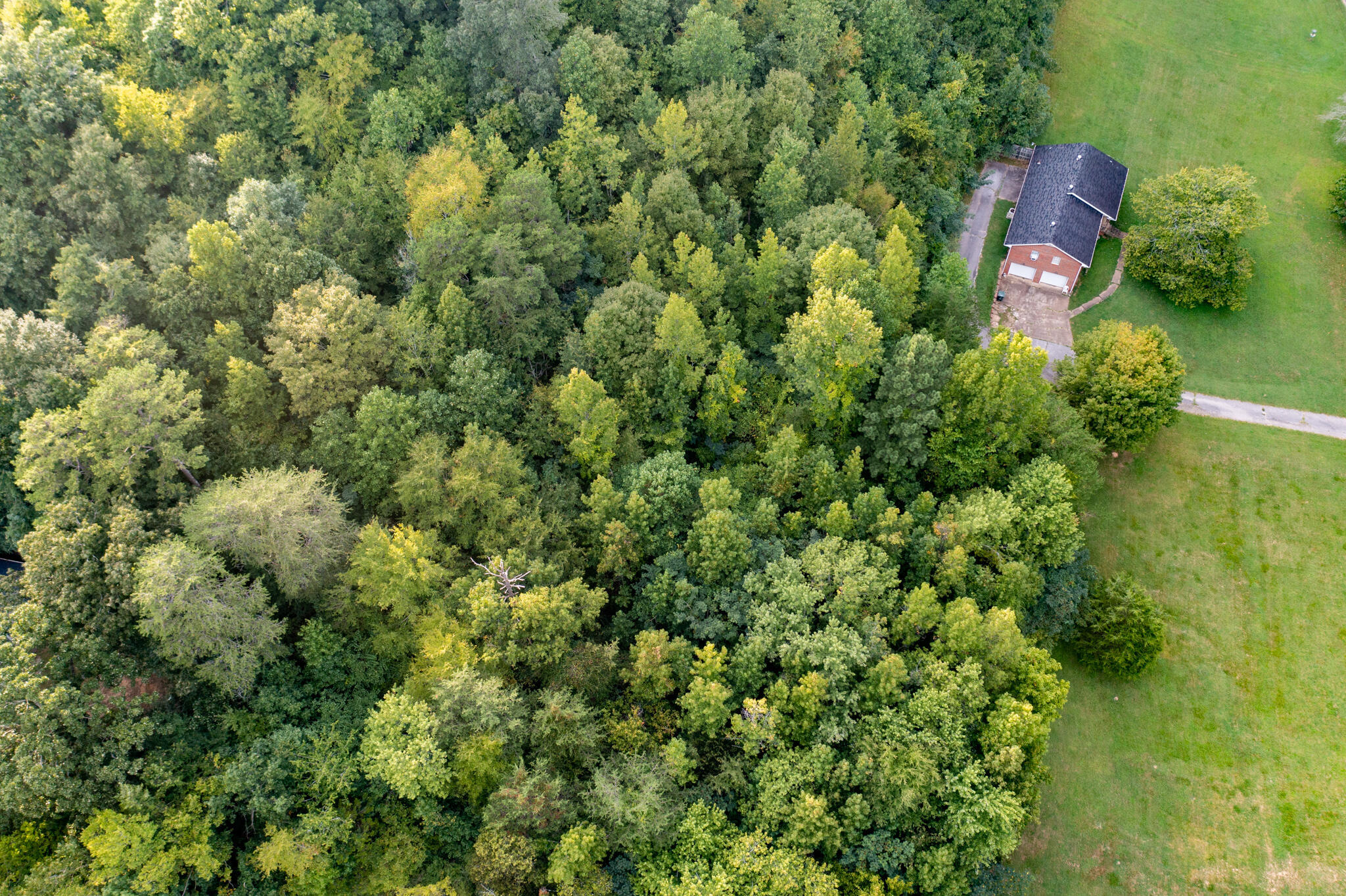 1161 Mountain Creek Road Chattanooga, TN 37405 - Photo 4 of 8 DJI_0169
