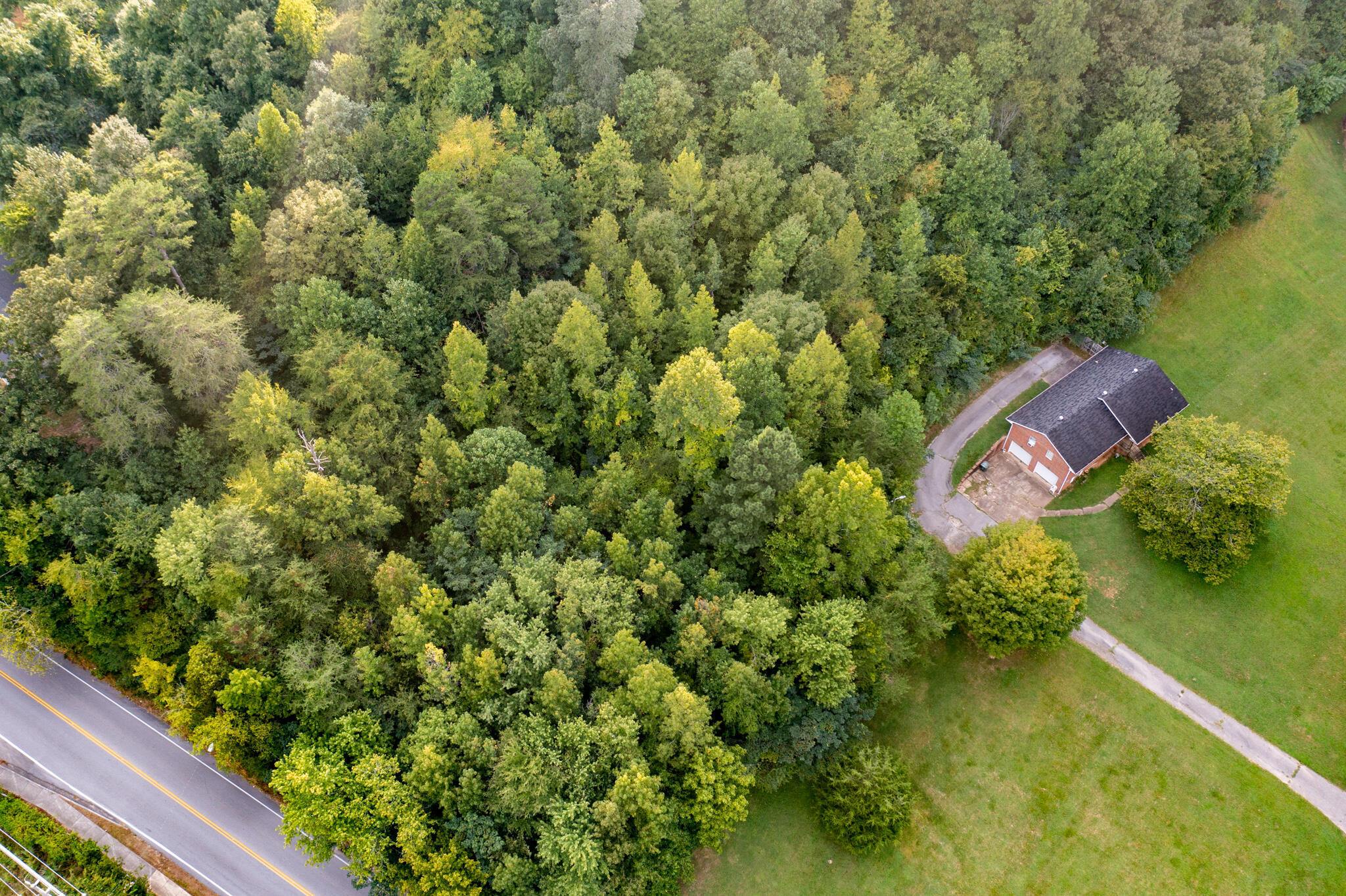 1161 Mountain Creek Road Chattanooga, TN 37405 - Photo 5 of 8 DJI_0170