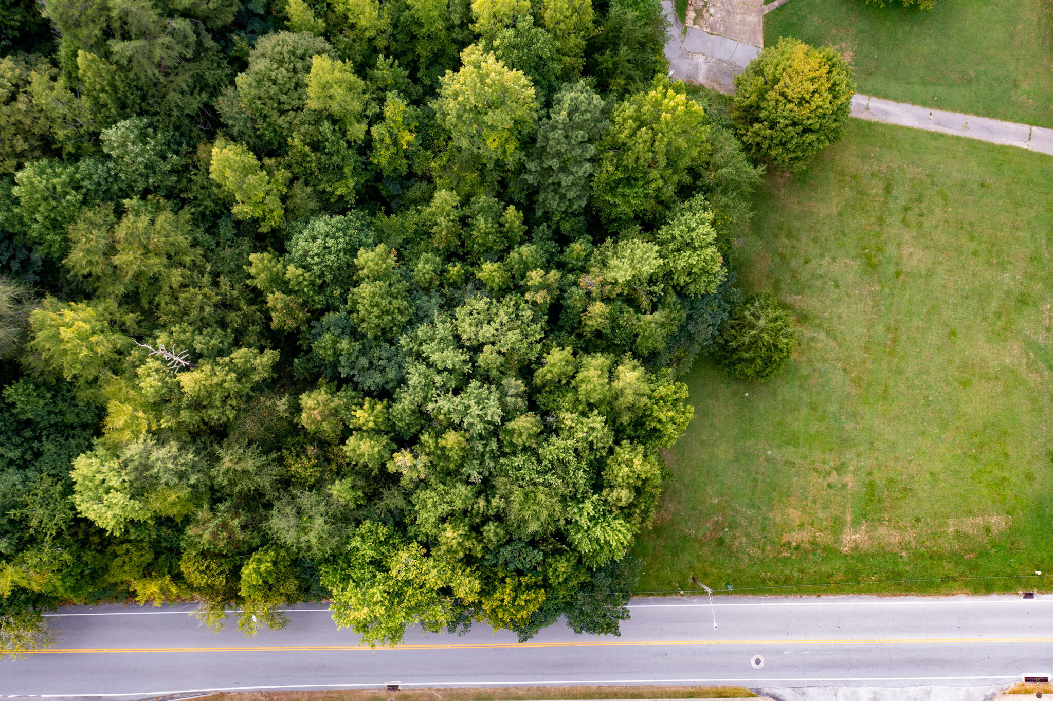 1161 Mountain Creek Road Chattanooga, TN 37405 - Photo 7 of 8 DJI_0172