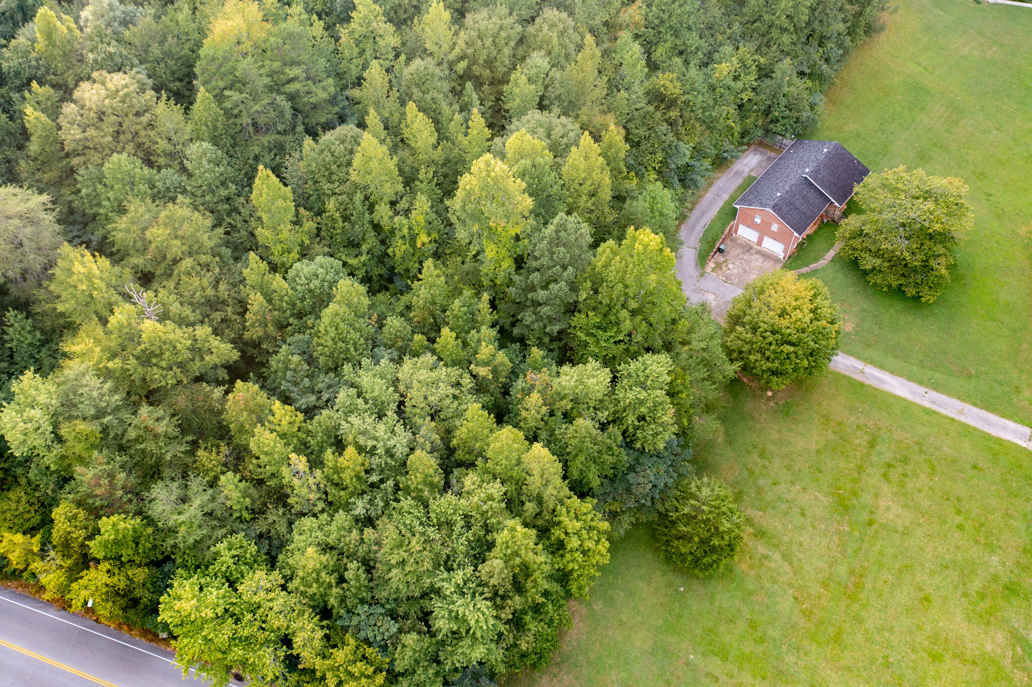 1161 Mountain Creek Road Chattanooga, TN 37405 - Photo 8 of 8 DJI_0174
