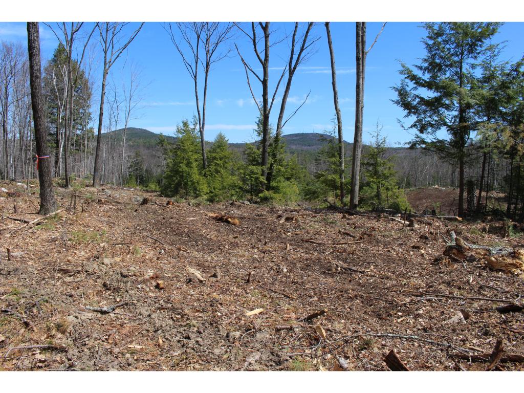 88-12l Indian Falls Road New Boston, NH 03070 - Photo 2 of 15 Gallery Image 2