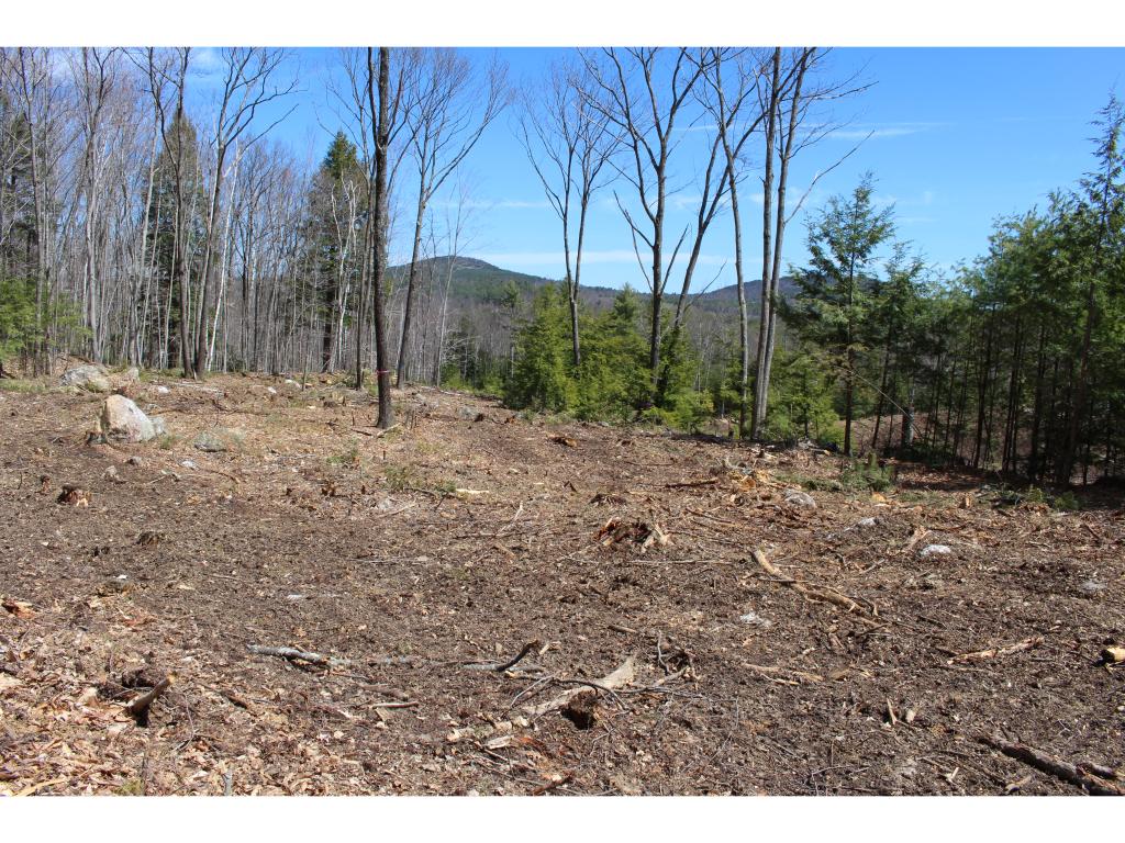 88-12l Indian Falls Road New Boston, NH 03070 - Photo 5 of 15 Gallery Image 5