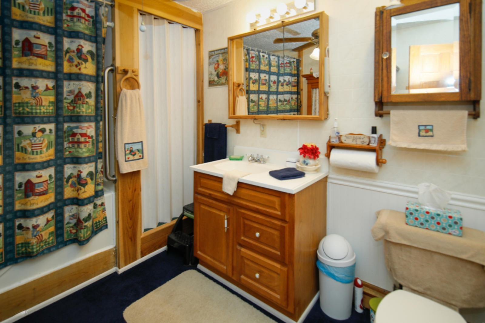 14475 Kane Road Plainwell, MI 49080 - Photo 13 of 24 14475 Kane Rd-114