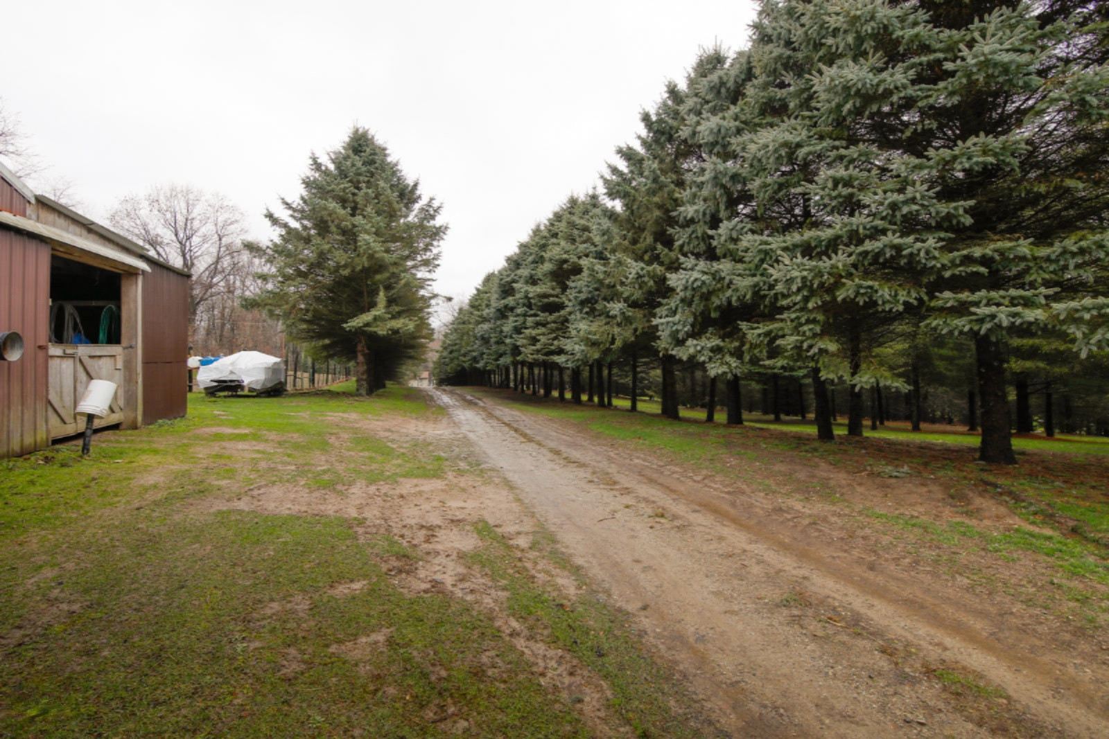 14475 Kane Road Plainwell, MI 49080 - Photo 21 of 24 14475 Kane Rd-126