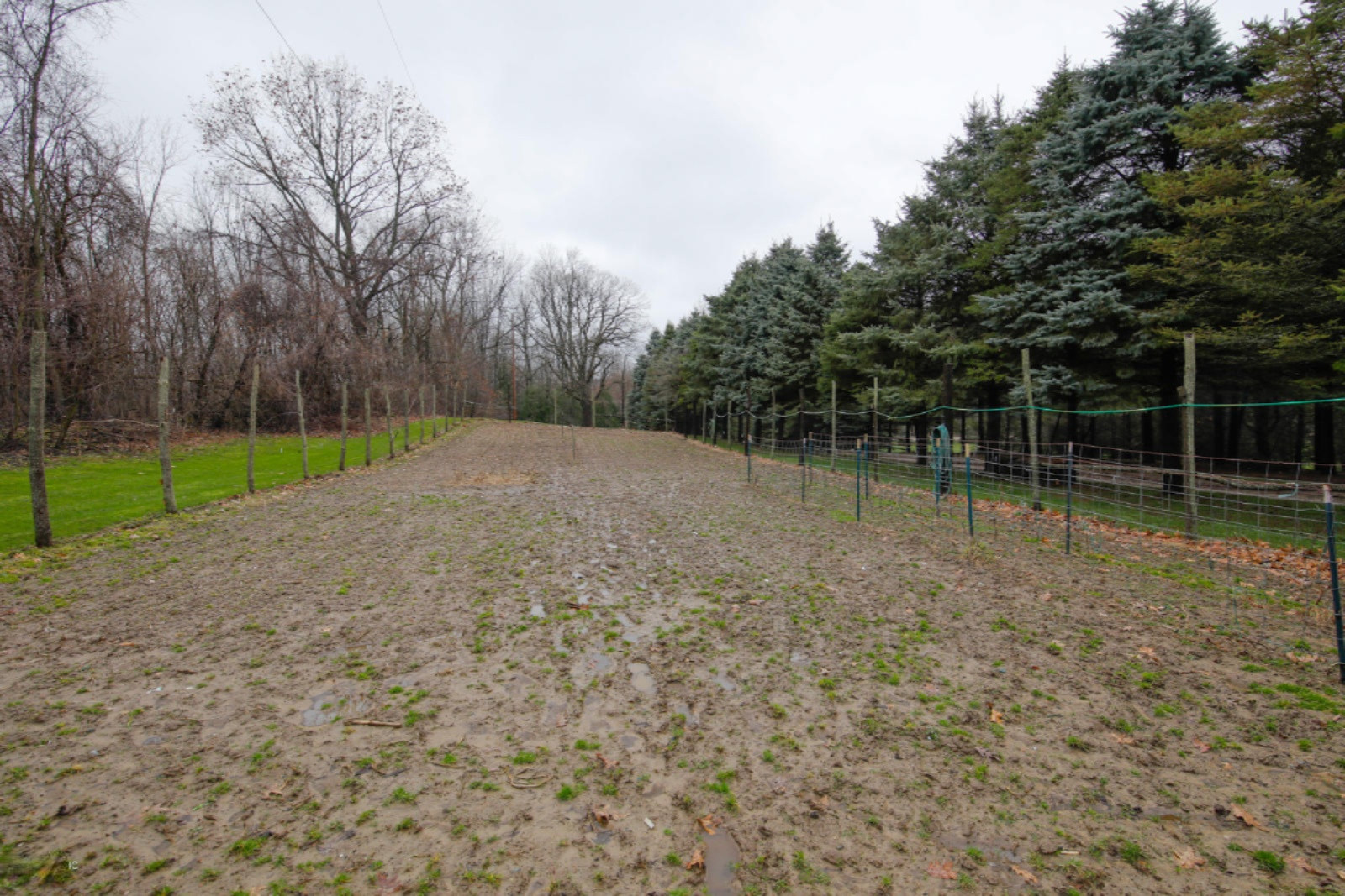 14475 Kane Road Plainwell, MI 49080 - Photo 24 of 24 14475 Kane Rd-129