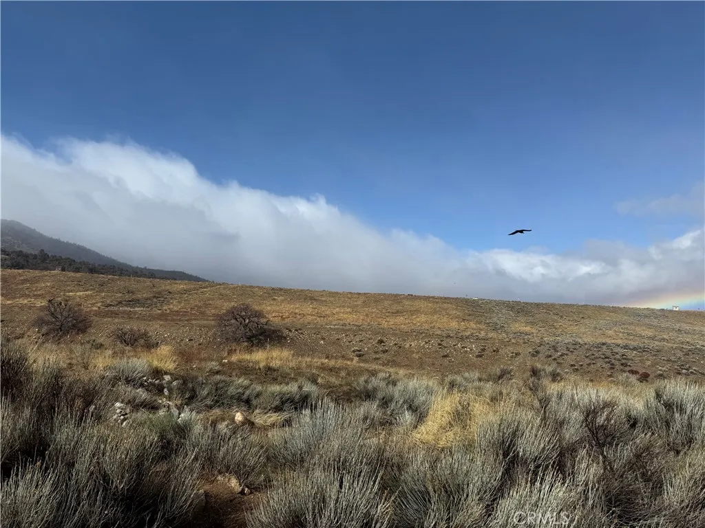 0 Summers Drive Tehachapi, CA 93561 - Photo 1 of 20