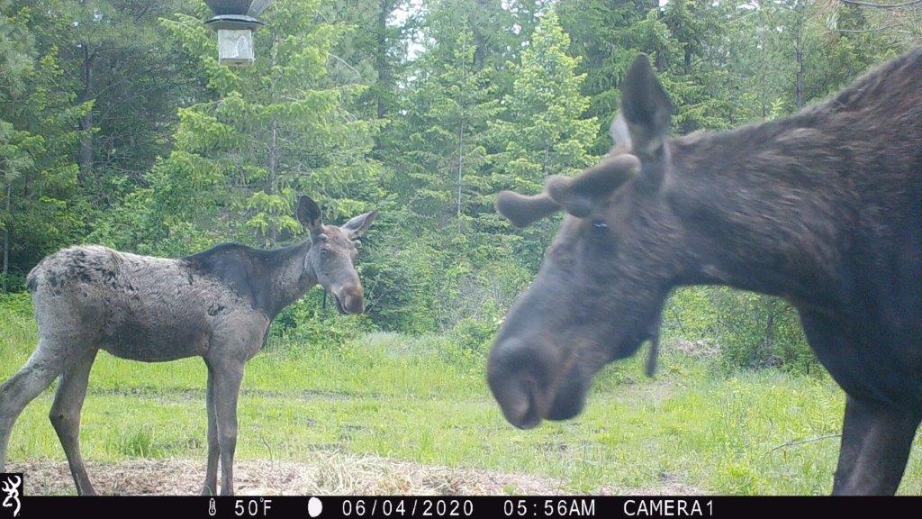 3-xxx Beitey Road Valley, WA 99181 - Photo 4 of 30