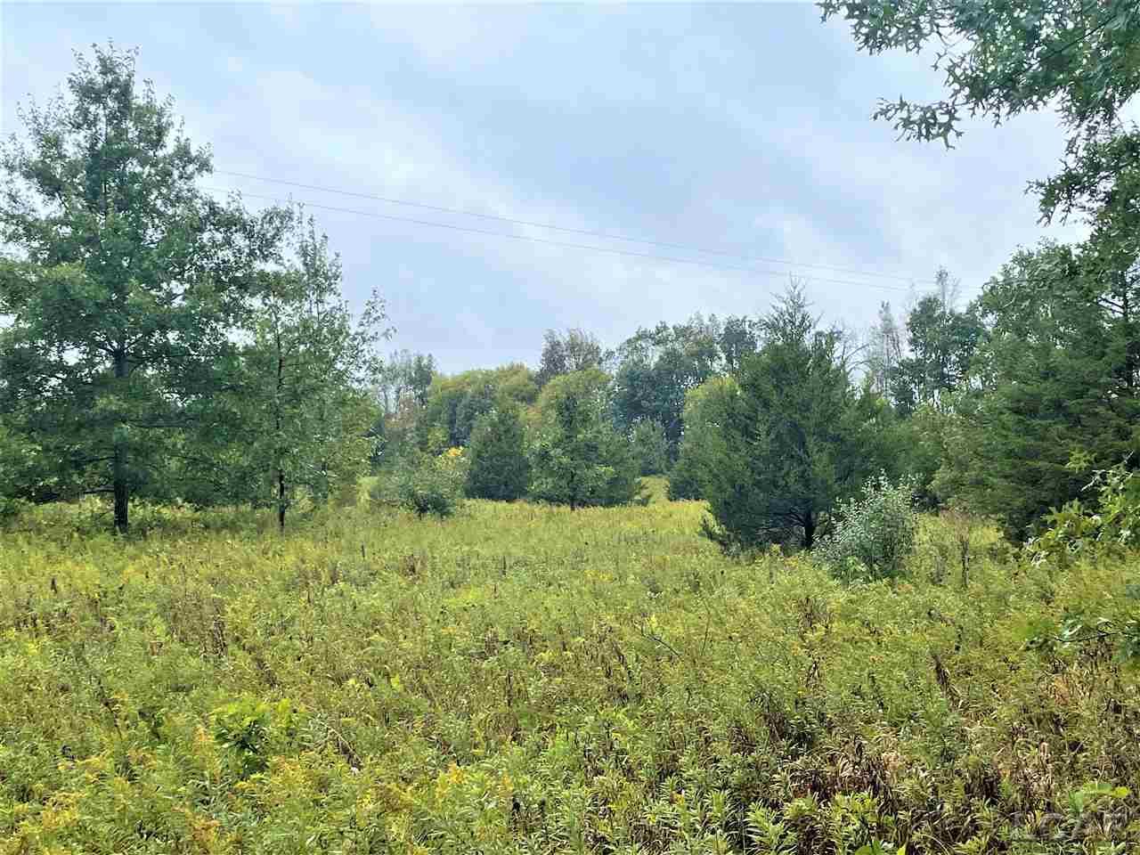 6321 Crawford Road Albion, MI 49224 - Photo 2 of 12