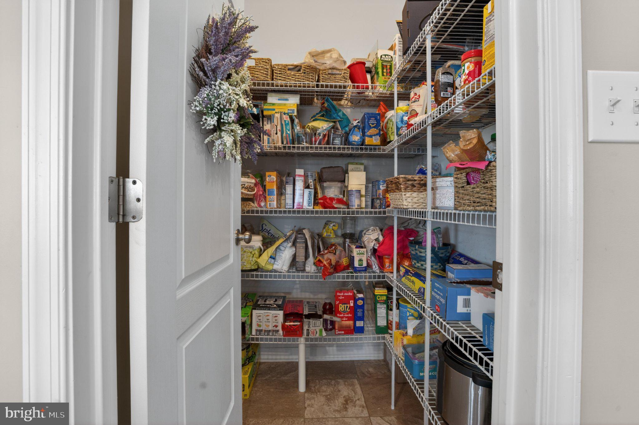 1105 Cardigan Road Middletown, DE 19709 - Photo 19 of 65 Organized pantry with ample storage.