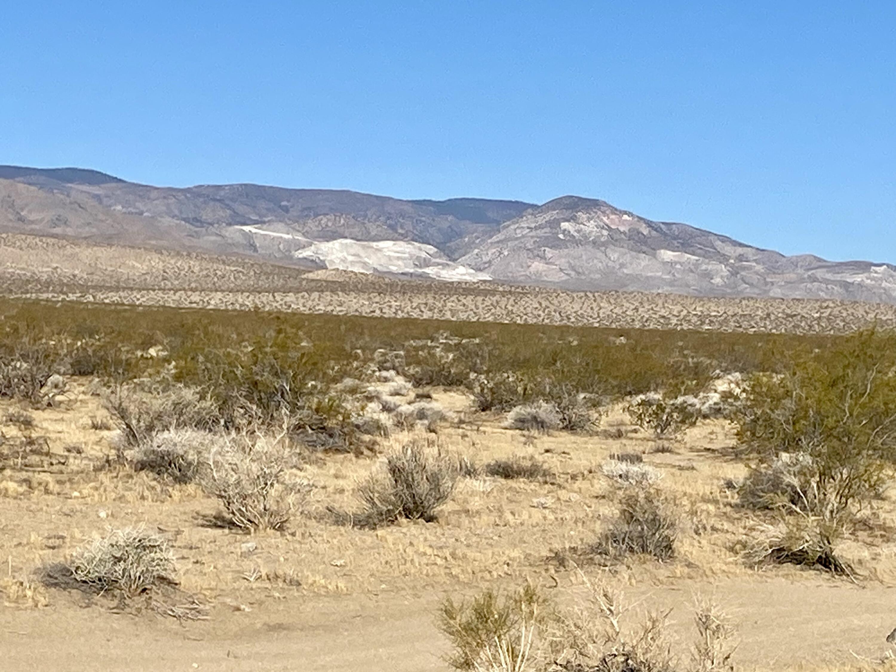 104 Joshua Tree Road Johnson Valley, CA 92285 - Photo 26 of 55 IMG_8392
