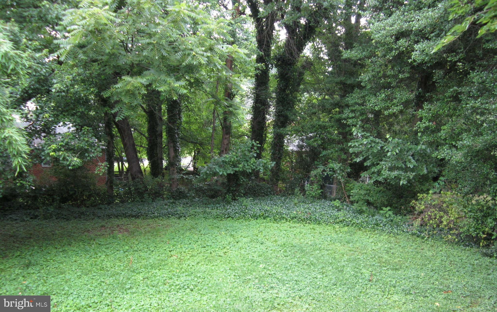 7310 Franklin Road Annandale, VA 22003 - Photo 8 of 10 Back Yard