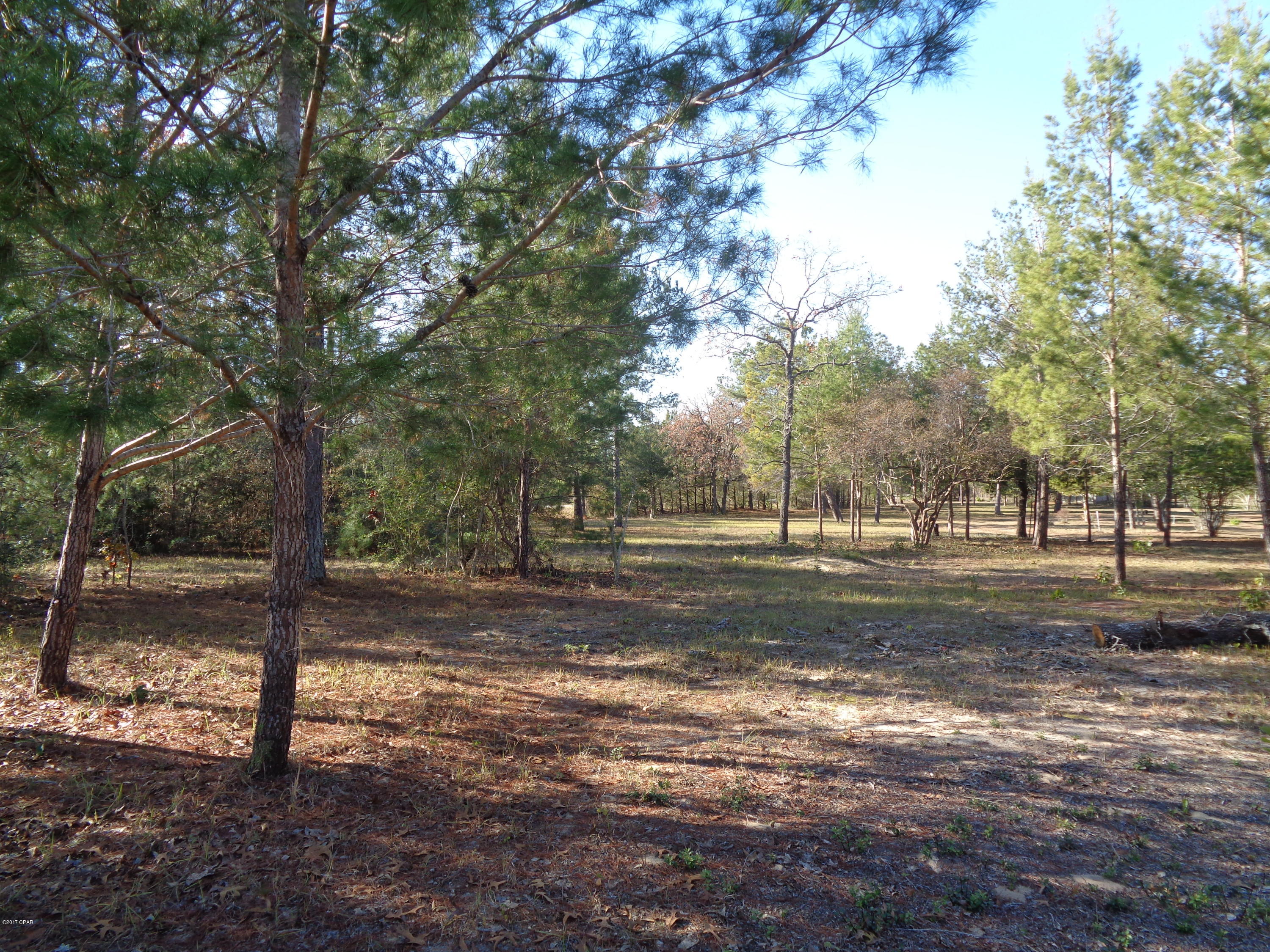 3109 Bonnett Pond Road Chipley, FL 32428 - Photo 25 of 26