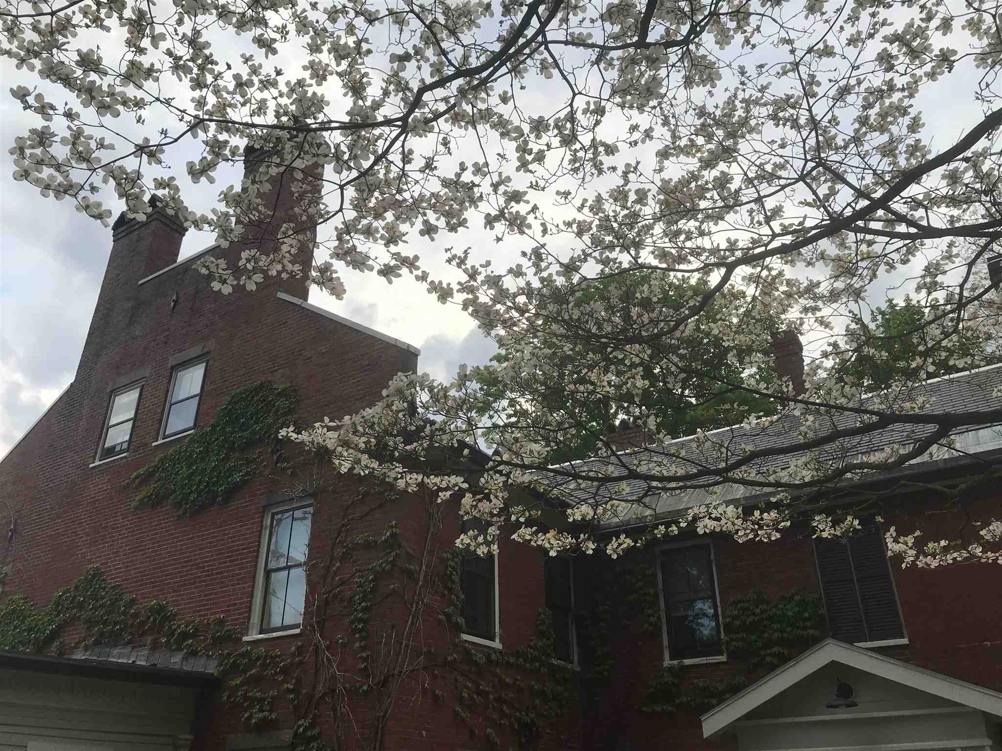 11 Chestnut Street Exeter, NH 03833 - Photo 35 of 40