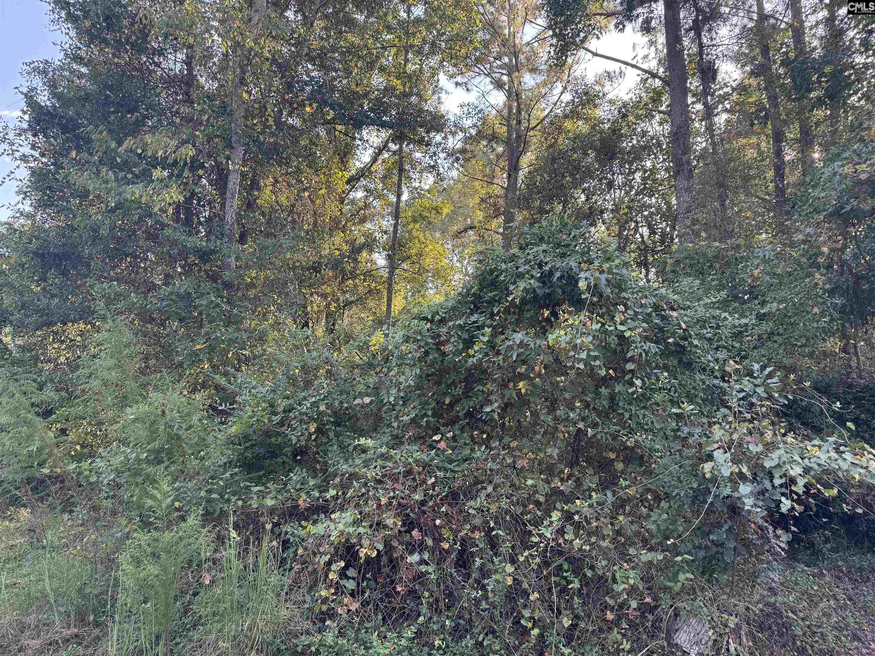0 Quattlebaum Avenue Ridge Spring, SC 29129 - Photo 2 of 9