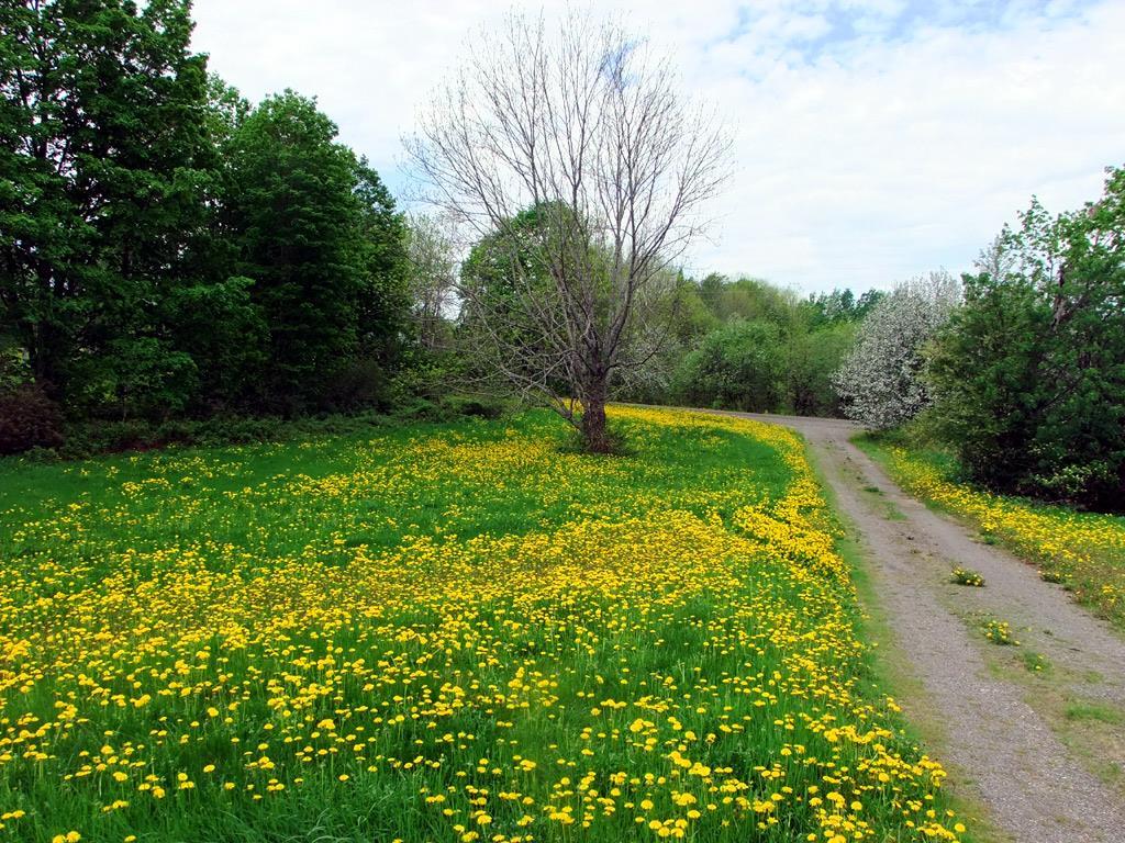 233 Moose Brook Road Houlton, ME 04730 - Photo 7 of 29 Photo
