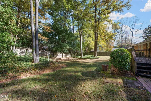 a view of a trees in a yard