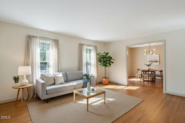 a living room with furniture and a potted plant