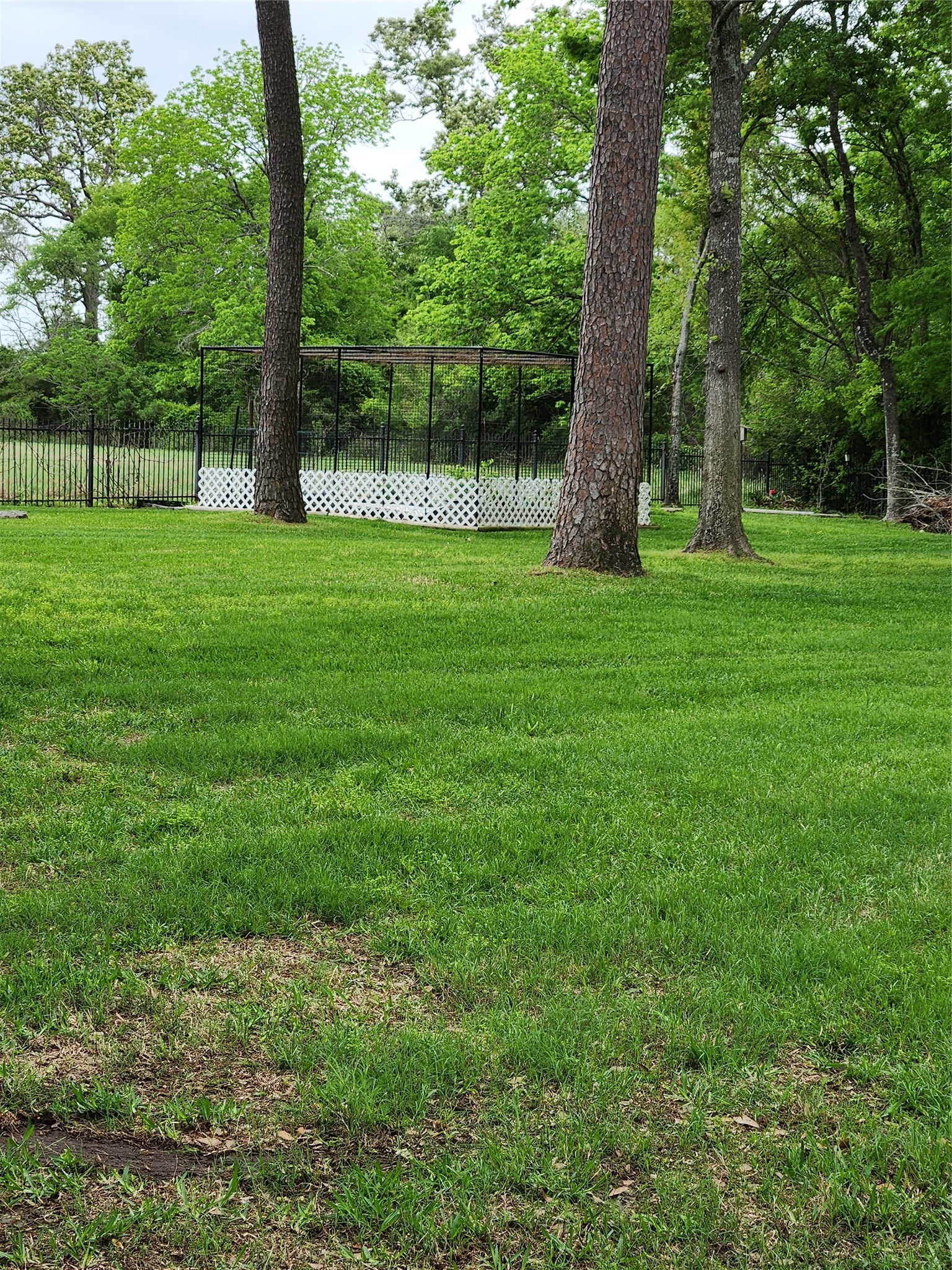 5016 Rimrock Pass Montgomery, TX 77316 - Photo 7 of 36 Garden area