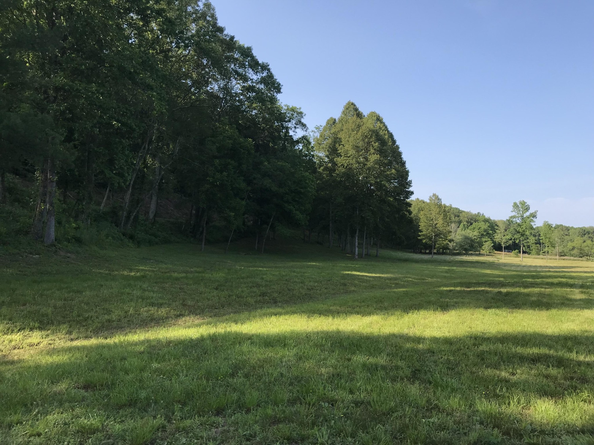76 Towee Falls Road Tellico Plains, TN 37385 - Photo 17 of 17 Gallery Image 17