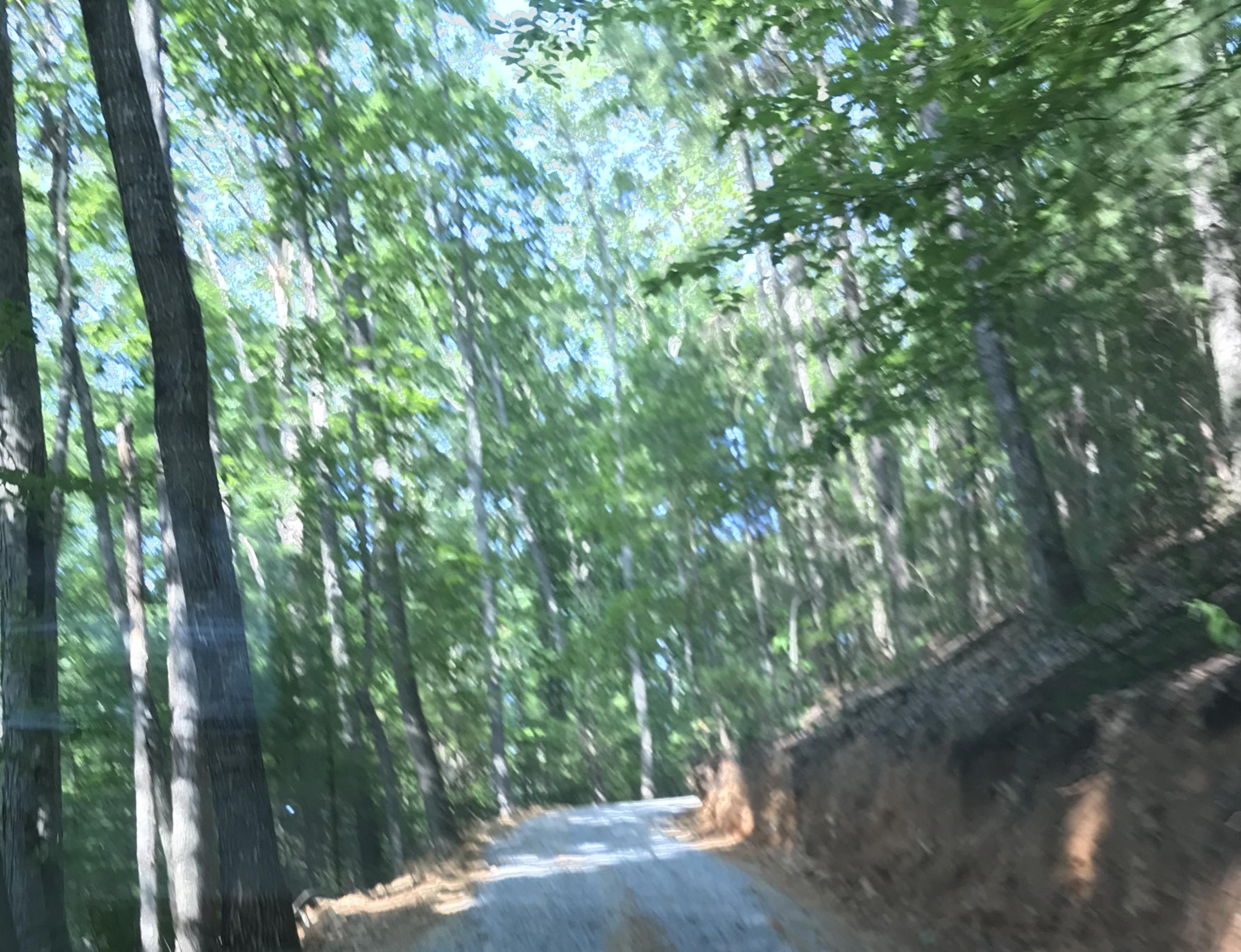 76 Towee Falls Road Tellico Plains, TN 37385 - Photo 10 of 17 Gallery Image 10