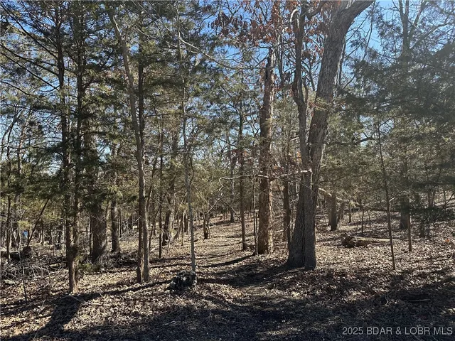 $3,500 | Lot 453 Linn Creek Road, Four Seasons, MO 65049