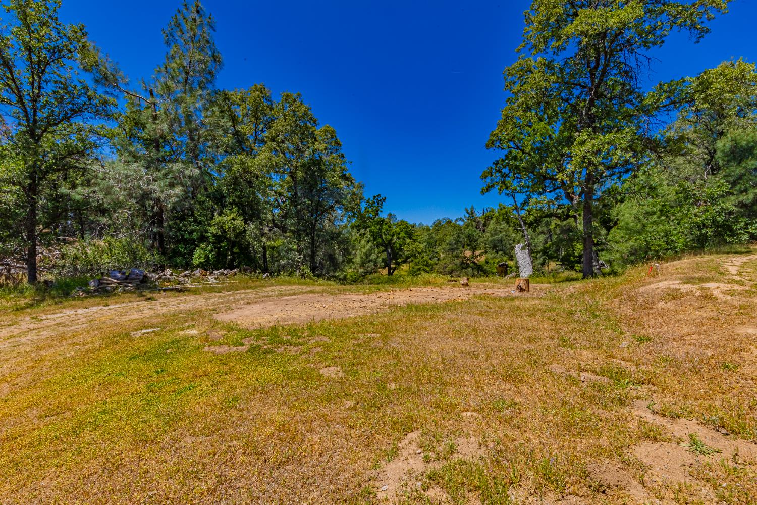 47457 Bissett Station Road Oakhurst, CA 93644 - Photo 44 of 59