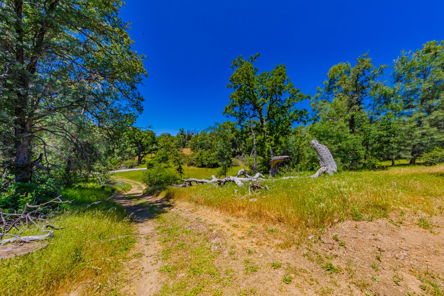 47457 Bissett Station Road Oakhurst, CA 93644 - Photo 45 of 59