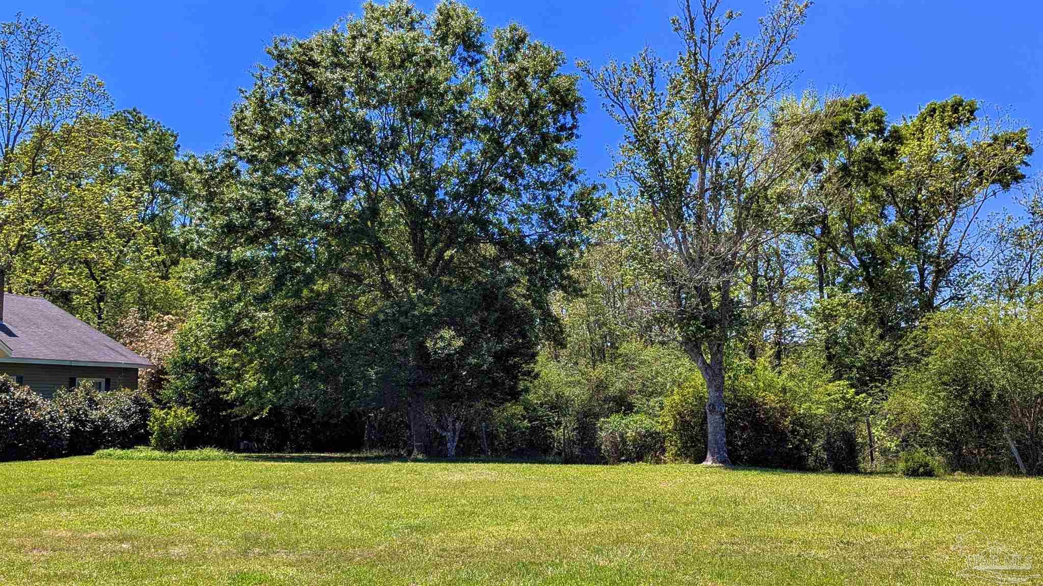 4925 Britton Lige Road Millry, AL 36558 - Photo 13 of 69