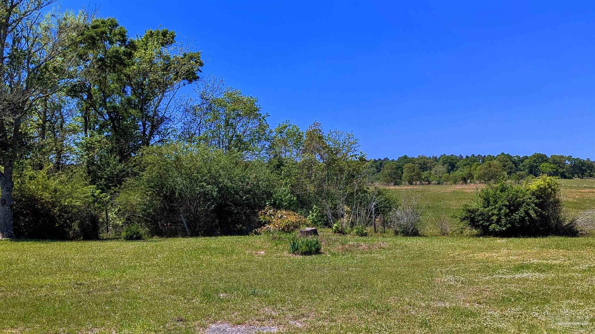 4925 Britton Lige Road Millry, AL 36558 - Photo 14 of 69