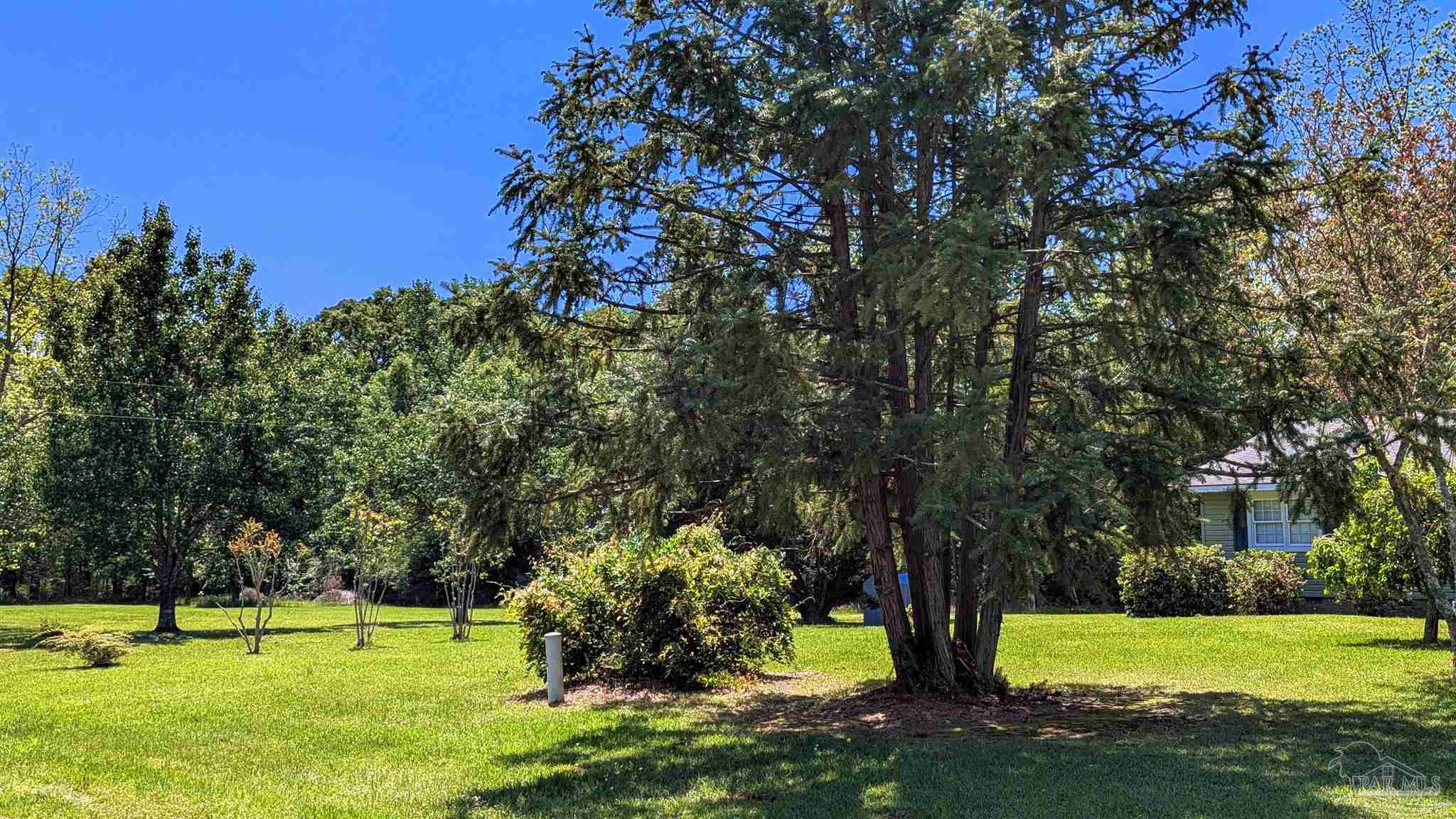 4925 Britton Lige Road Millry, AL 36558 - Photo 17 of 69