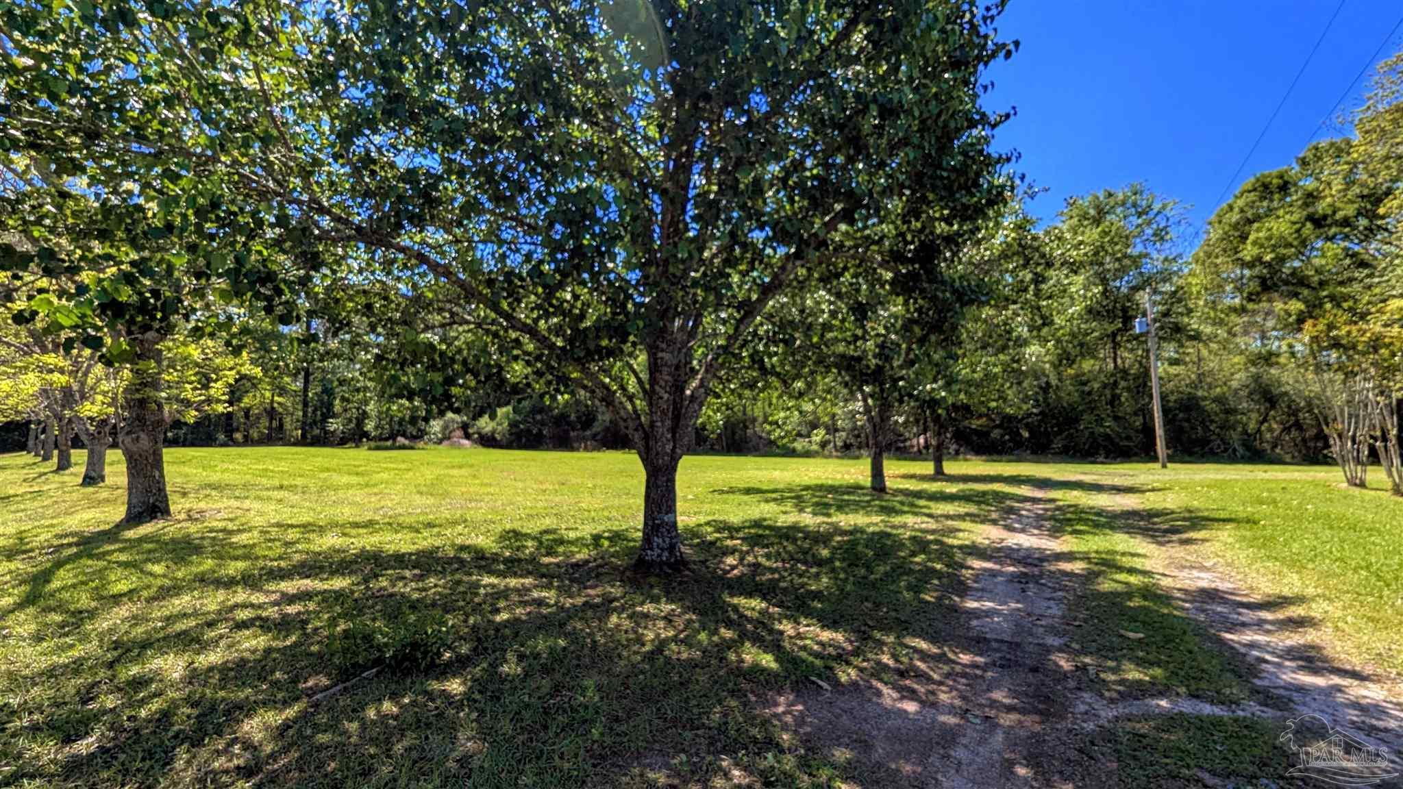 4925 Britton Lige Road Millry, AL 36558 - Photo 21 of 69