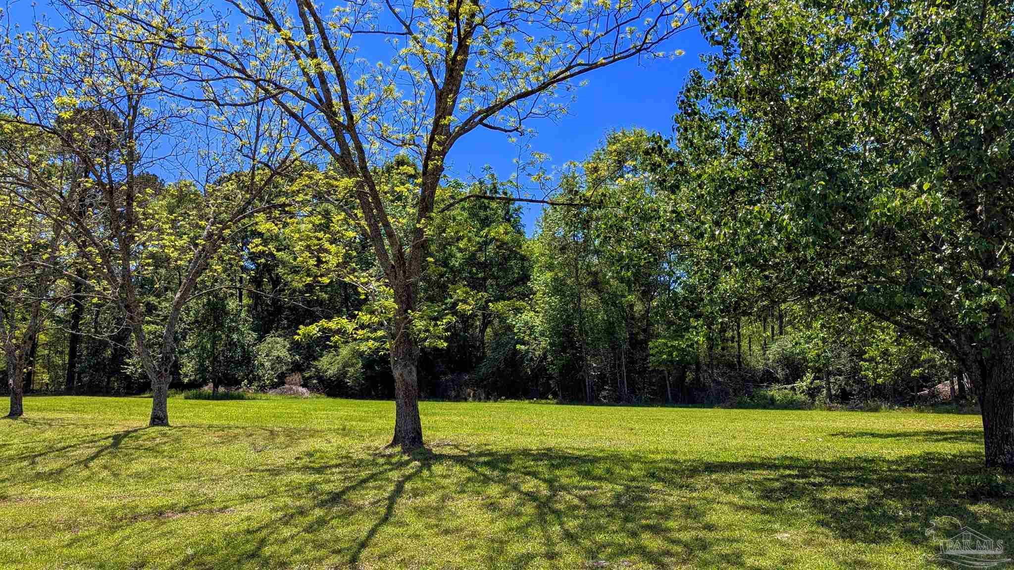 4925 Britton Lige Road Millry, AL 36558 - Photo 24 of 69