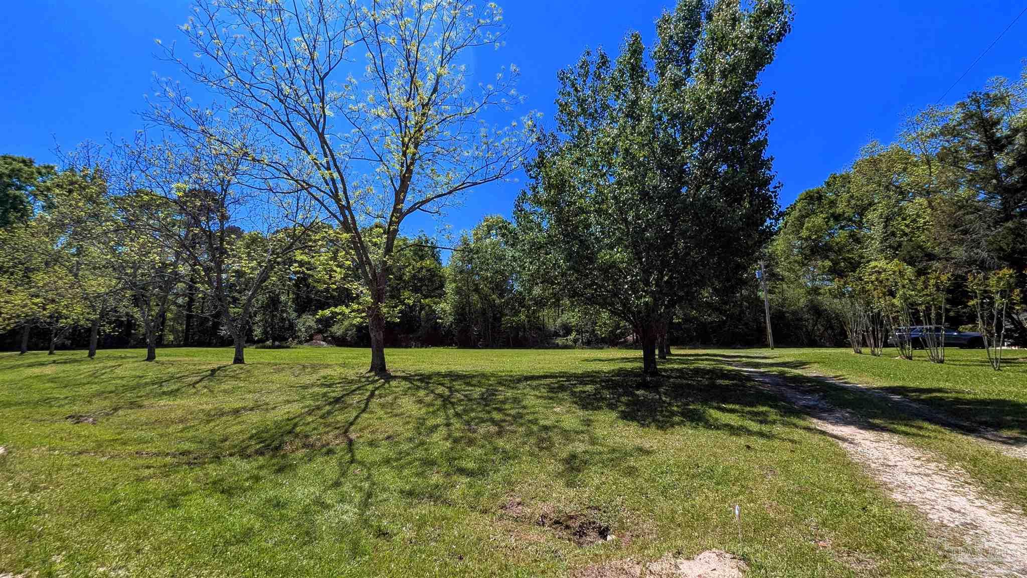 4925 Britton Lige Road Millry, AL 36558 - Photo 25 of 69