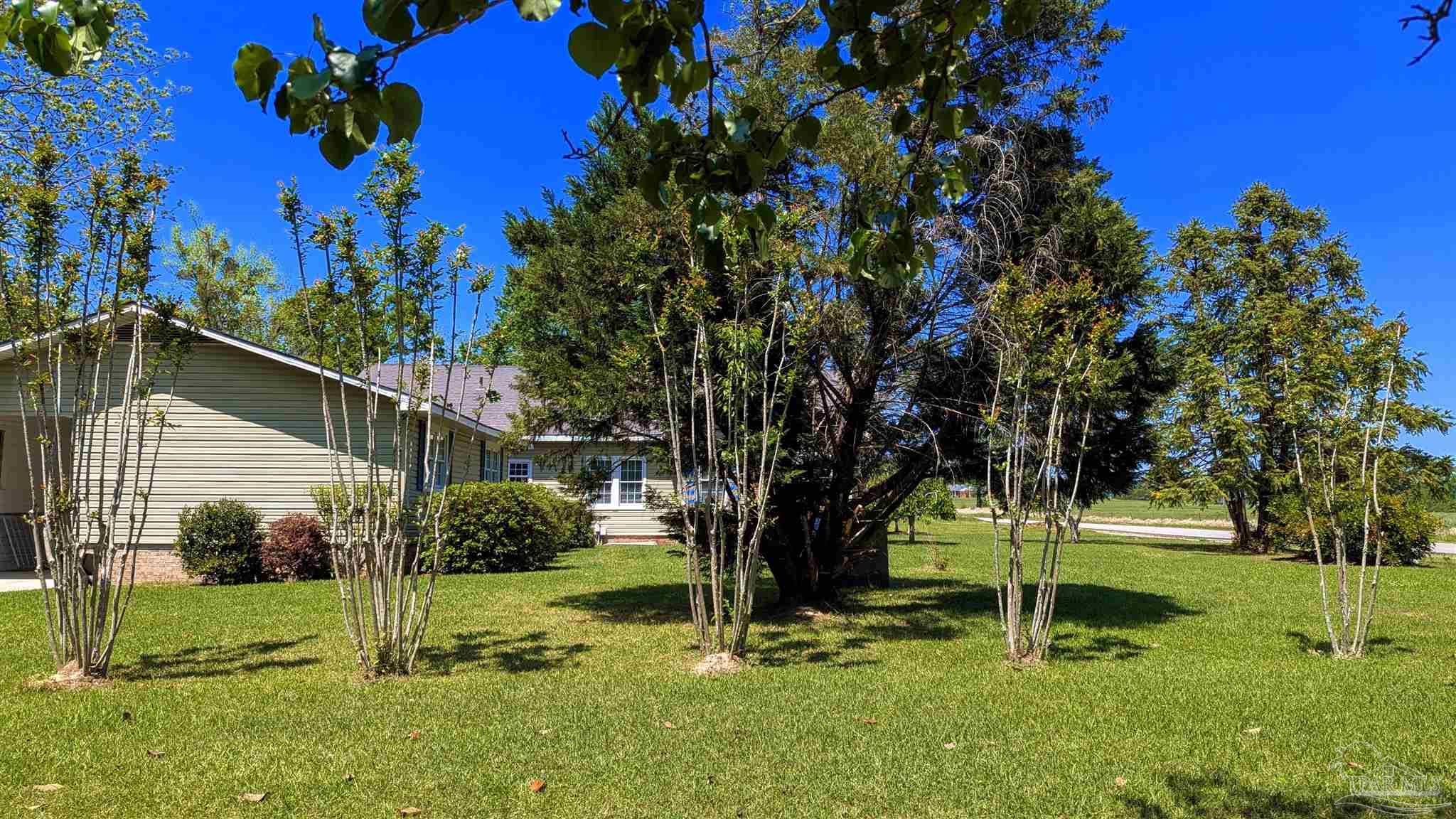 4925 Britton Lige Road Millry, AL 36558 - Photo 28 of 69