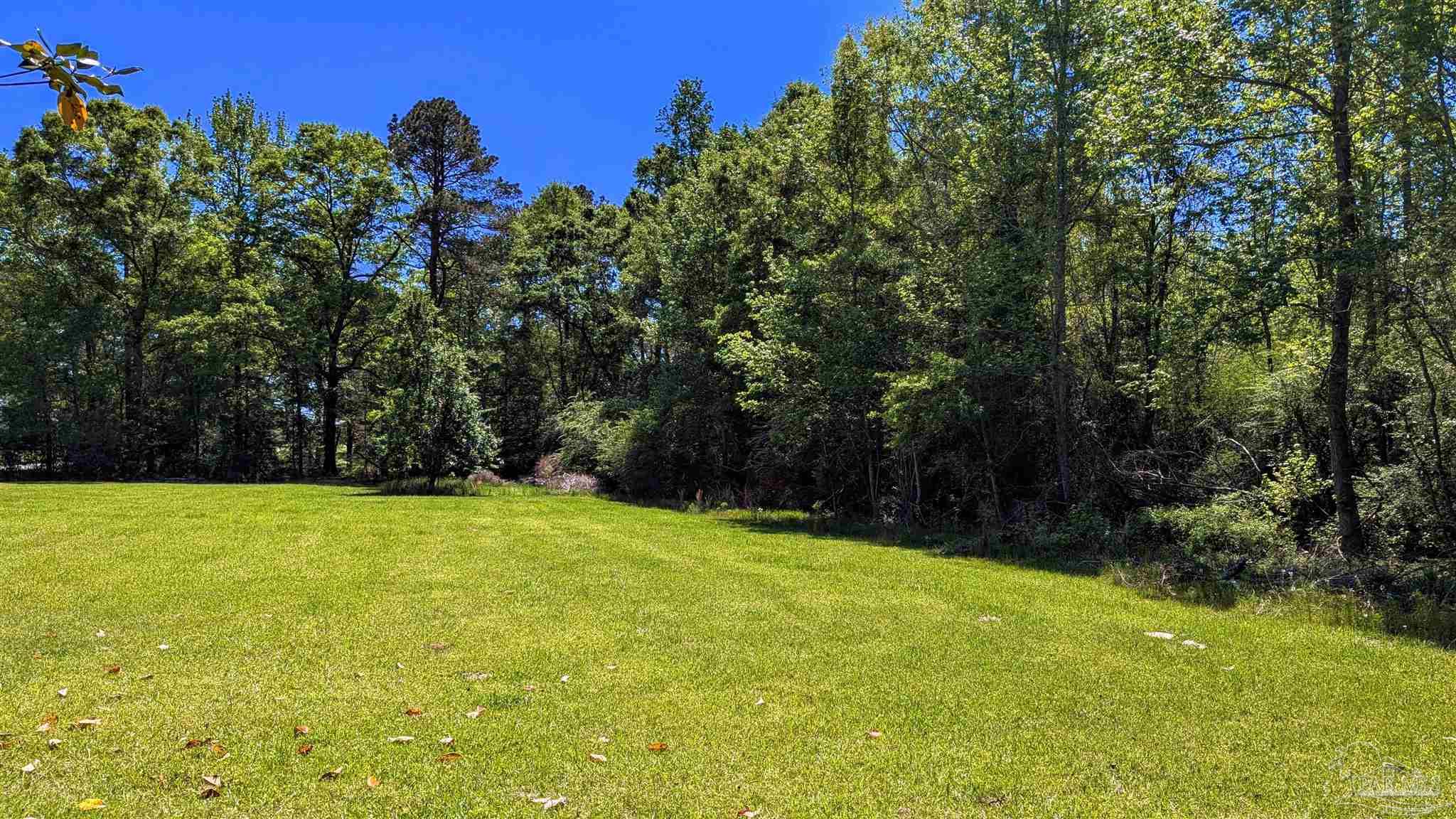 4925 Britton Lige Road Millry, AL 36558 - Photo 30 of 69