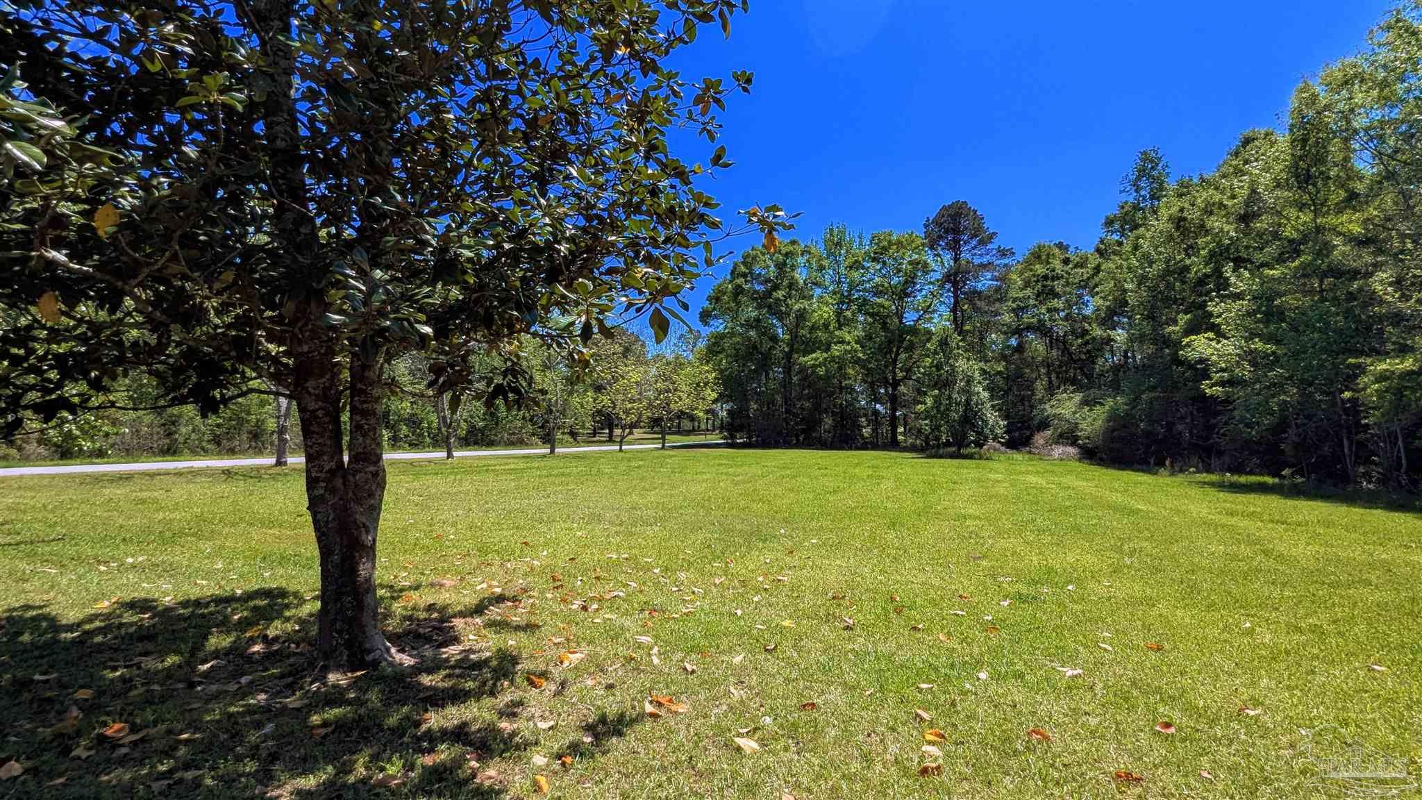 4925 Britton Lige Road Millry, AL 36558 - Photo 31 of 69