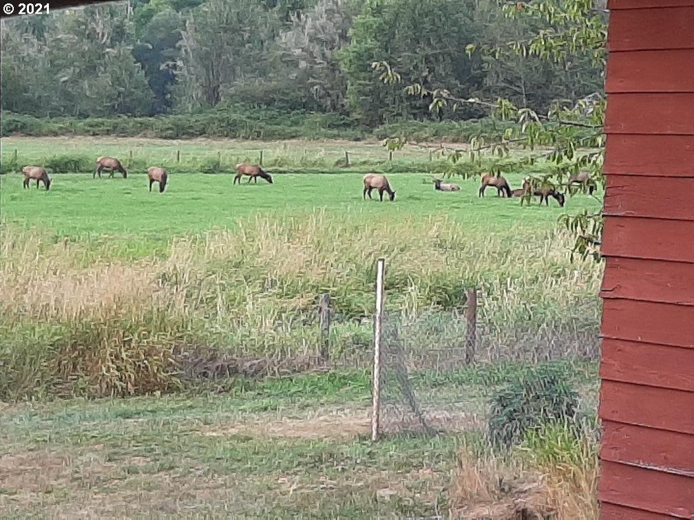 438 Soup Creek Road Reedsport, OR 97467 - Photo 9 of 30 a backyard of a house with lots of green space