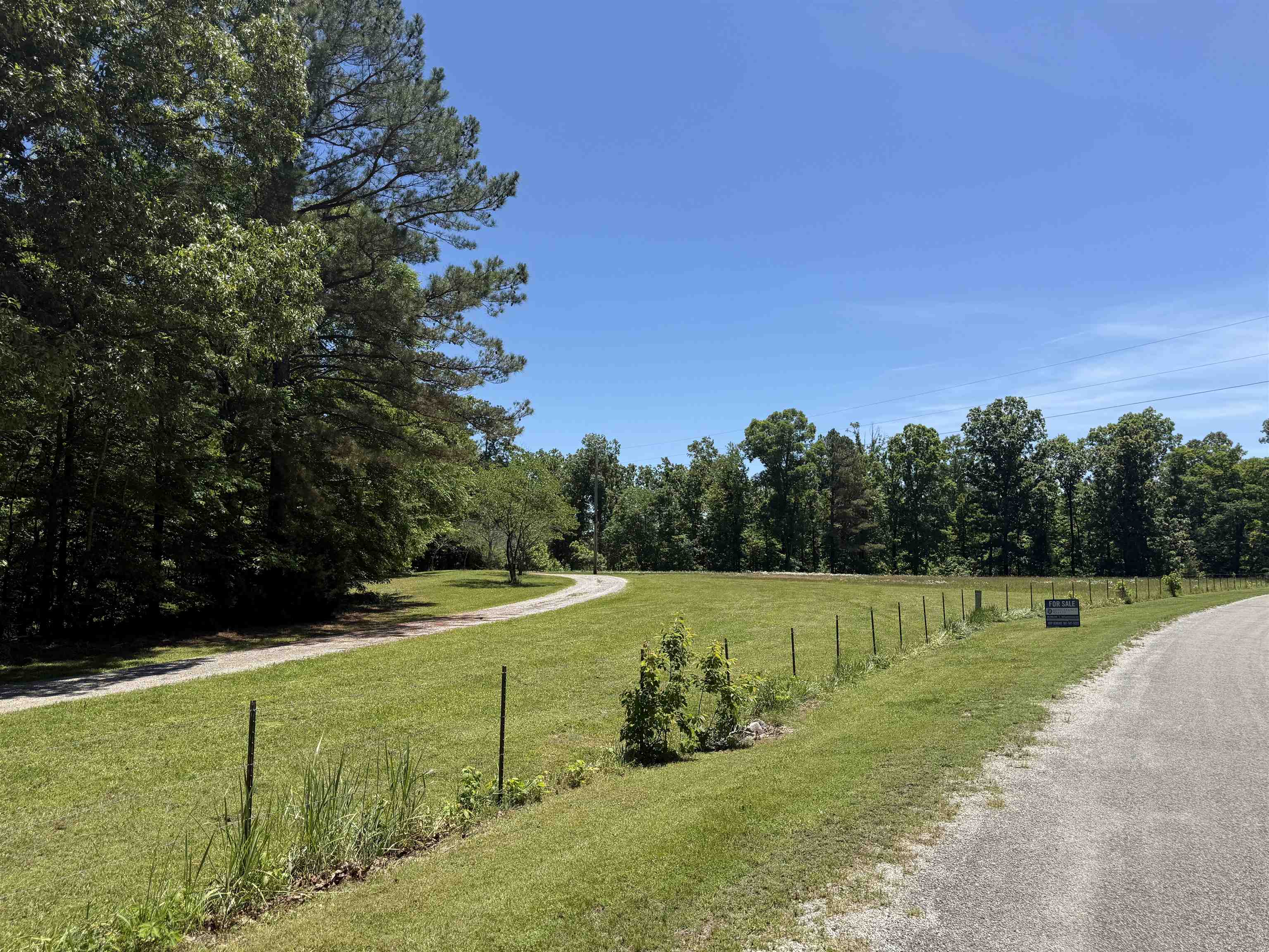 3990 Monk House Road Somerville, TN 38068 - Photo 21 of 26 a view of a field with grass and trees