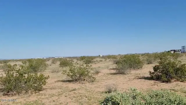 a view of a dry yard with trees